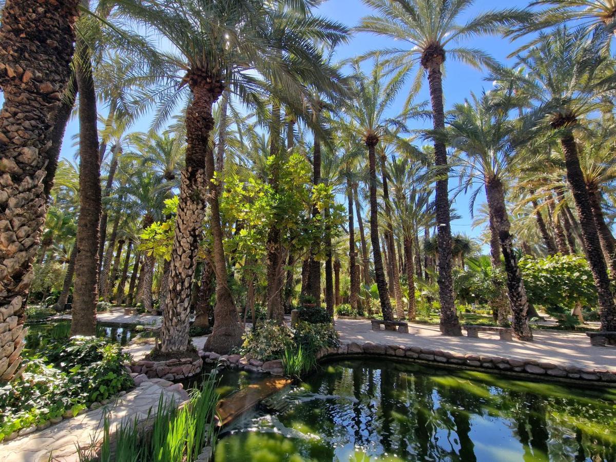 Espana - Punta Prima Orihuela Costa - Large For 6-people 85m2 And Terrace 40m2 Air Conditioning Wi-fi Living Kitchen 2 Bedrooms 2 Bathrooms 3 Swimming Pools Parking Security To The Sea 160m Only 40 Min To The Airport *