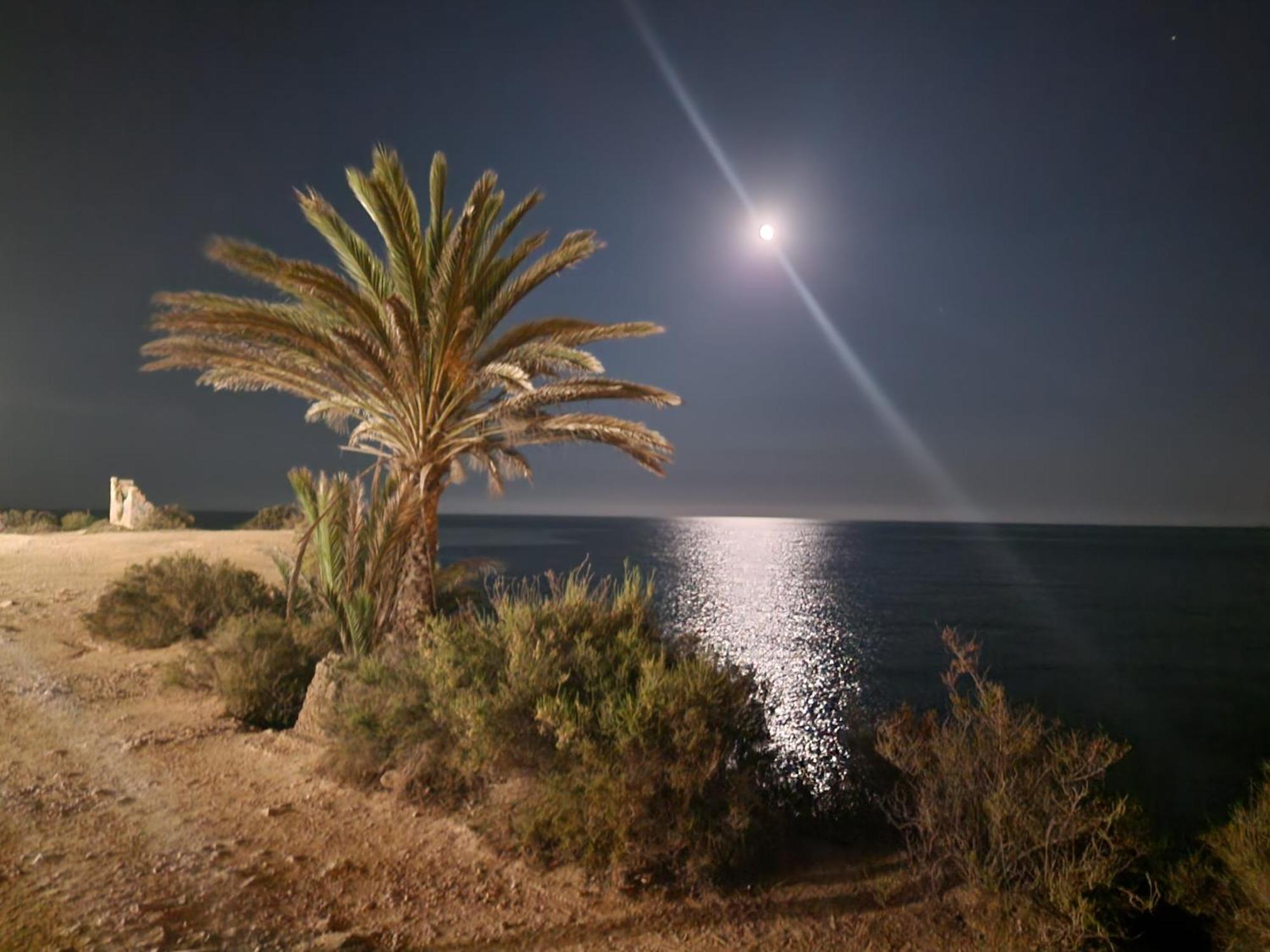 Espana - Punta Prima Orihuela Costa - Large For 6-people 85m2 And Terrace 40m2 Air Conditioning Wi-fi Living Kitchen 2 Bedrooms 2 Bathrooms 3 Swimming Pools Parking Security To The Sea 160m Only 40 Min To The Airport Apartment
