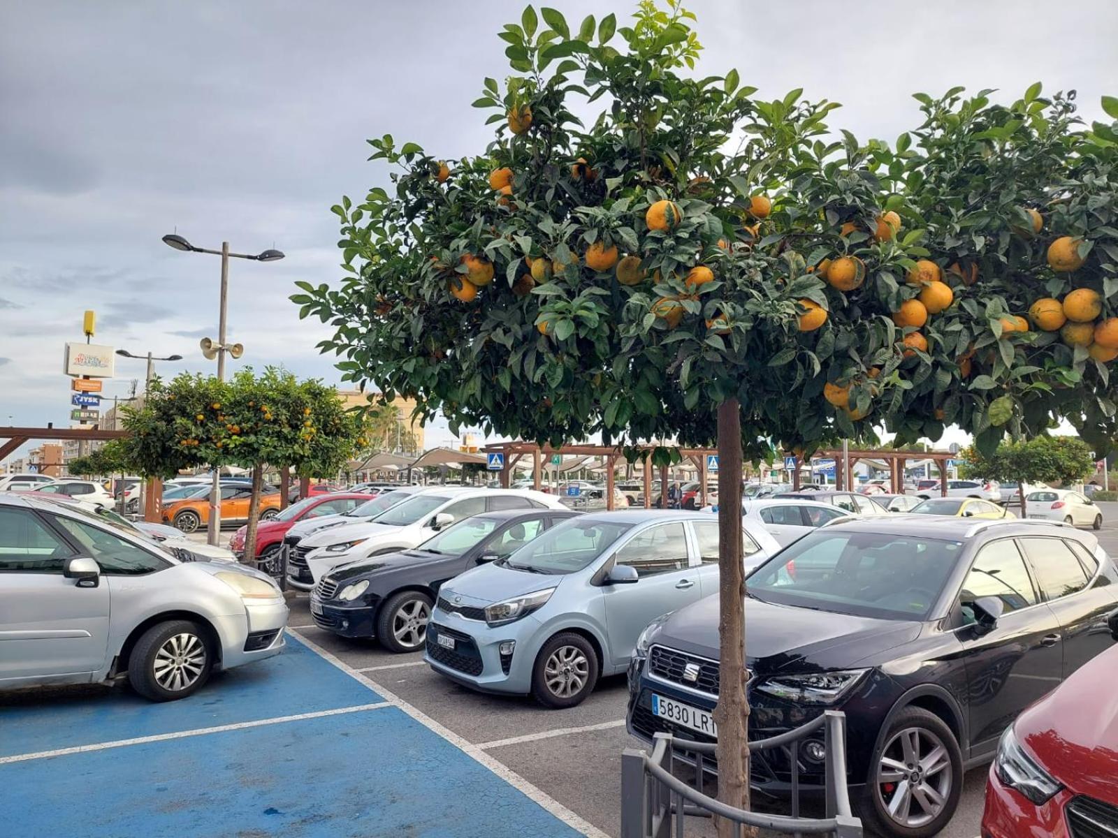 Espana - Punta Prima Orihuela Costa - Large For 6-people 85m2 And Terrace 40m2 Air Conditioning Wi-fi Living Kitchen 2 Bedrooms 2 Bathrooms 3 Swimming Pools Parking Security To The Sea 160m Only 40 Min To The Airport Apartment Torrevieja