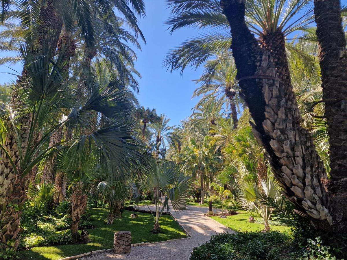 Espana - Punta Prima Orihuela Costa - Large For 6-people 85m2 And Terrace 40m2 Air Conditioning Wi-fi Living Kitchen 2 Bedrooms 2 Bathrooms 3 Swimming Pools Parking Security To The Sea 200m Only 40 Min To The Airport Apartamento *